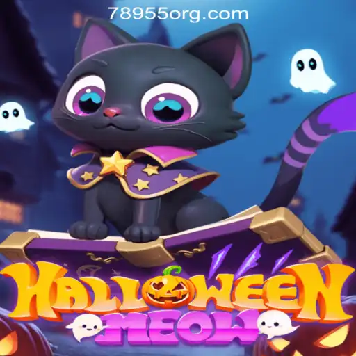 HalloweenMeow: Dive into the Spook-tacular World of Slot Gaming