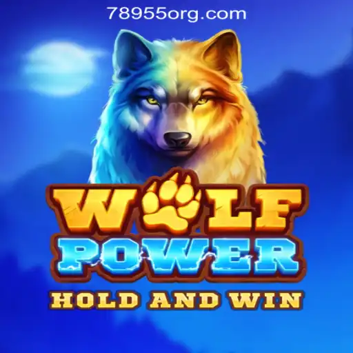 Exploring the Thrills of WolfPower: A Brazilian Adventure with 78955.com